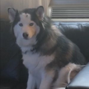 Meet your Posher, Connor